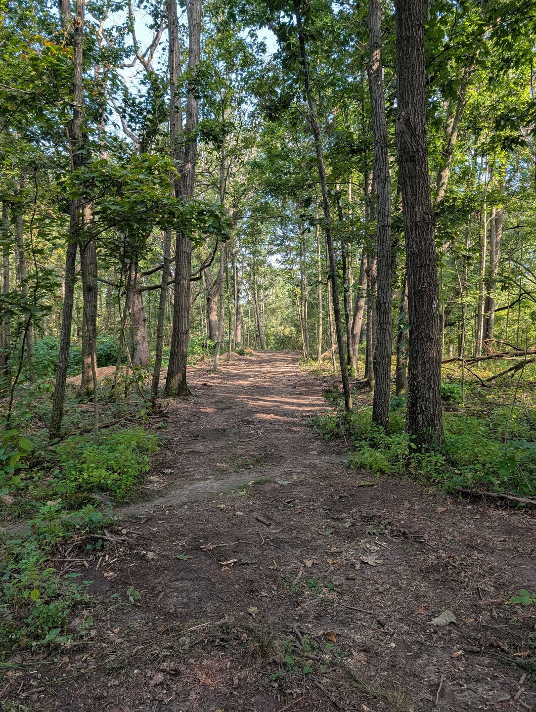 Hole 14 - Fairway from long tee - straight shot that pushes slightly left 
