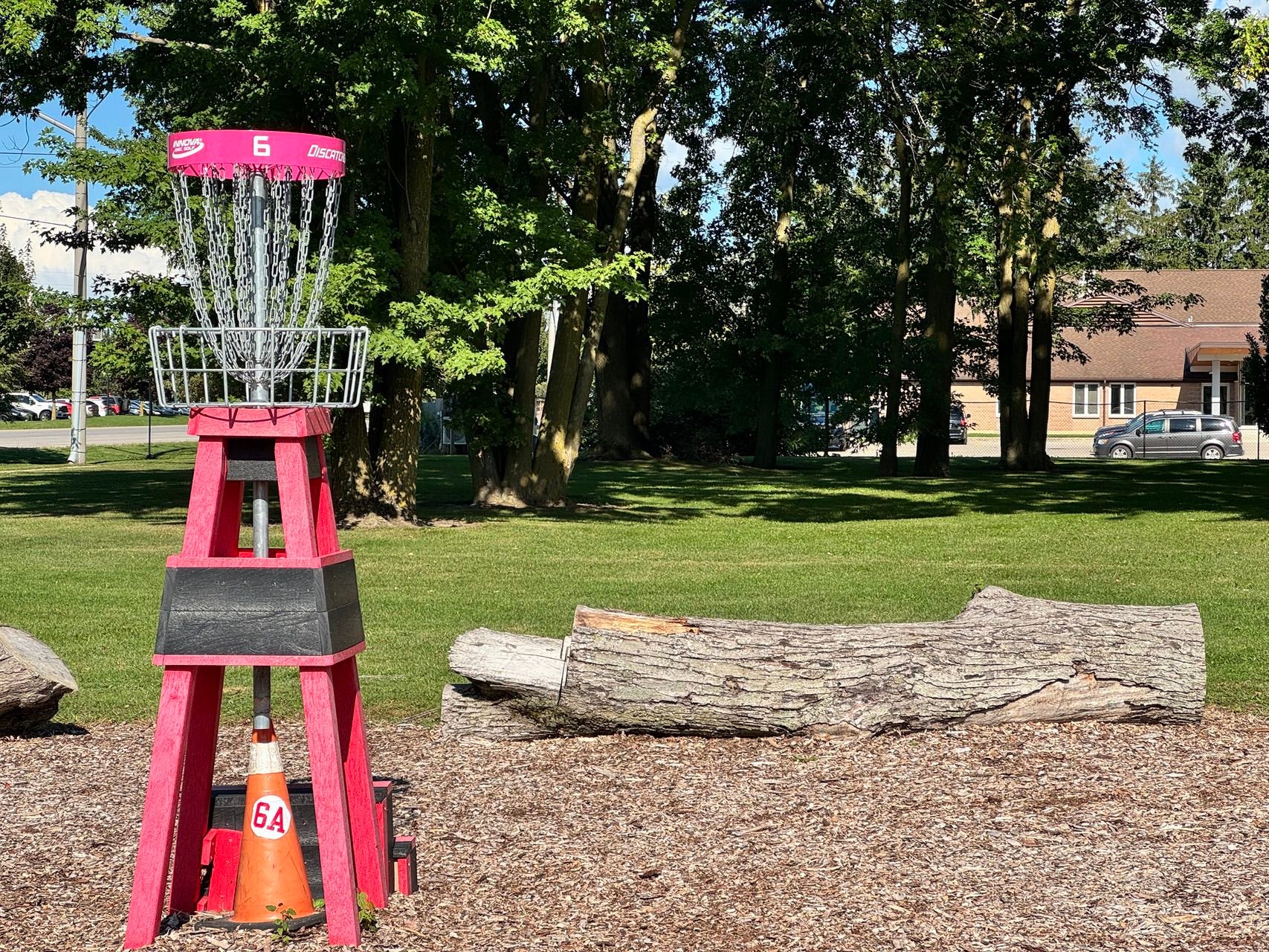 Raised Pink Basket