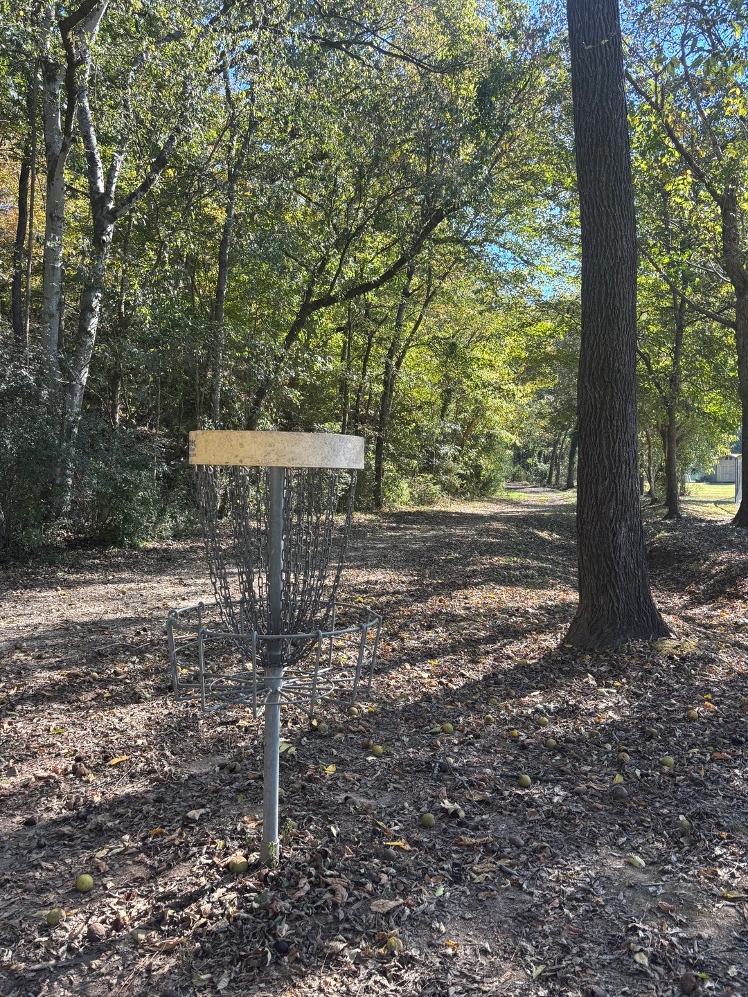 Hole #14 Basket to Tee