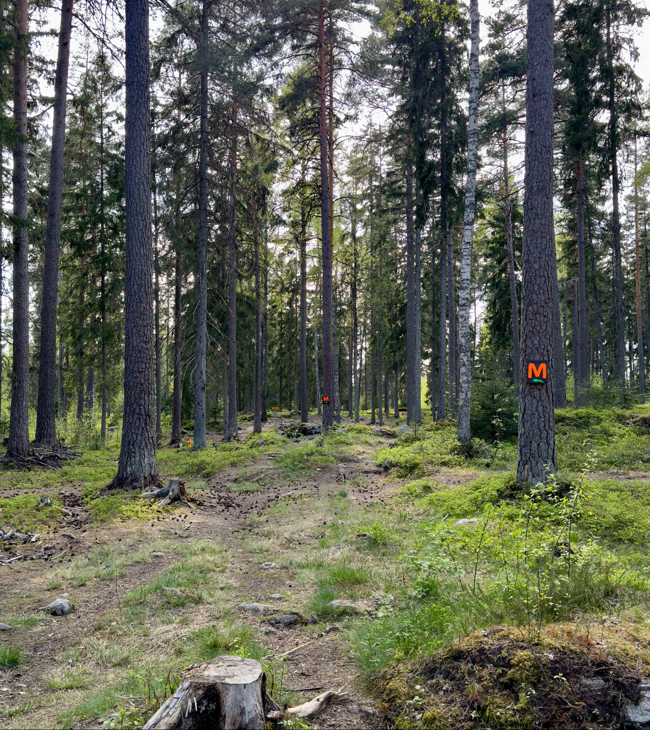 Väylä 5