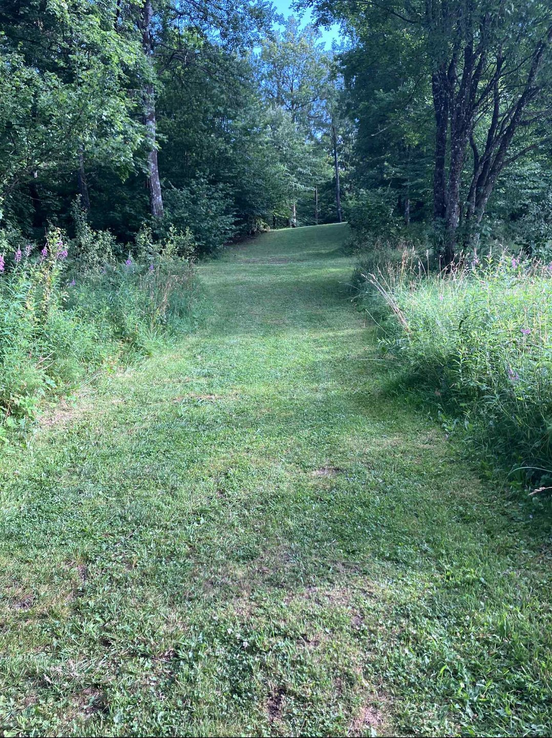 Fairway hole 4