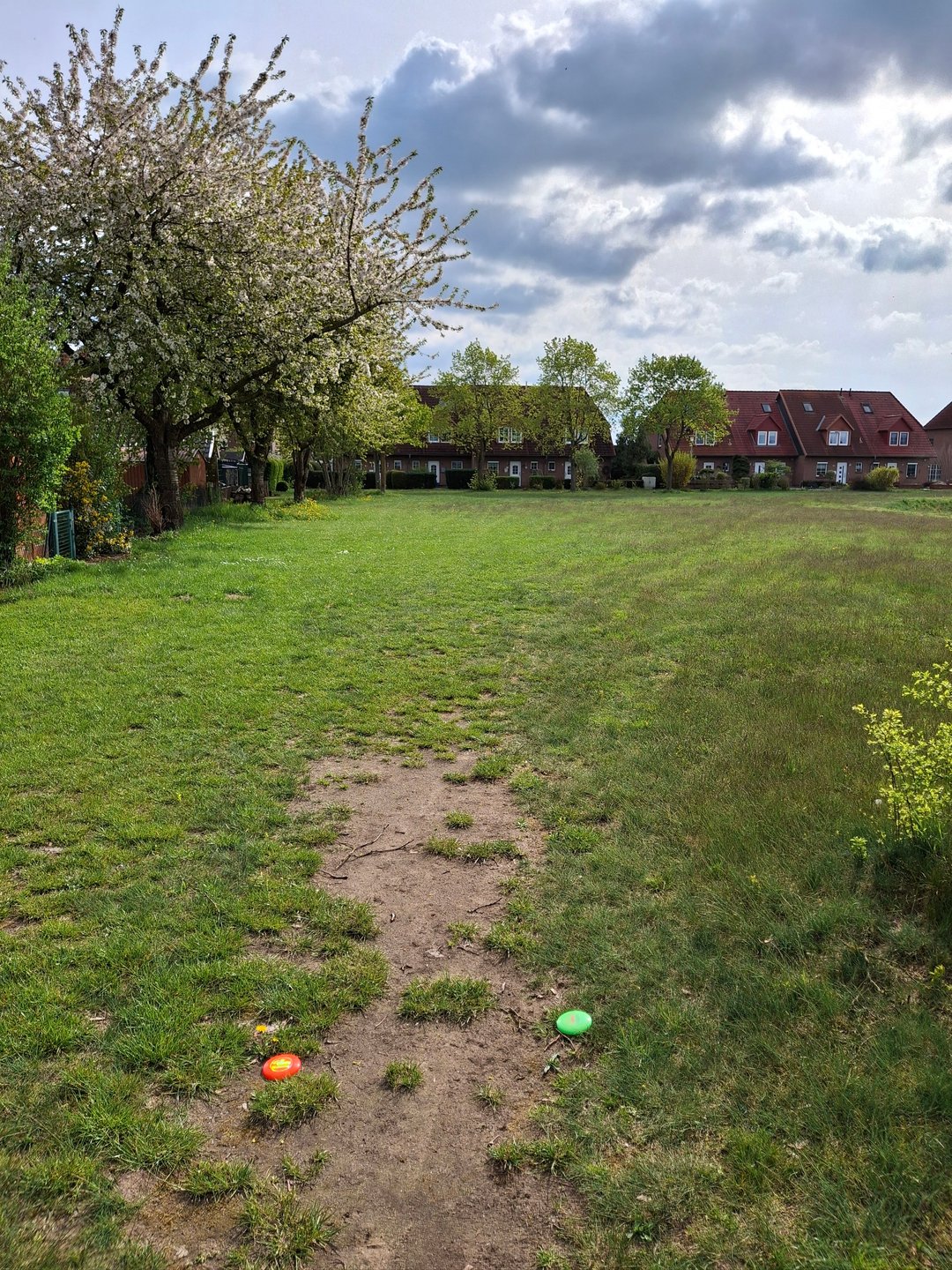 Tee 5
Target: Big tree with most Bushy ground