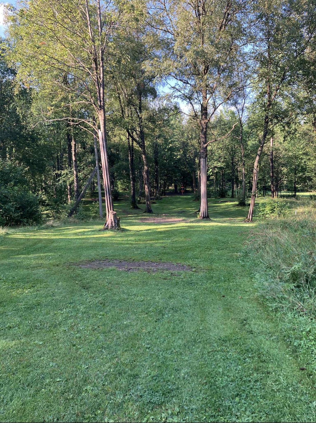 Fairway hole 3