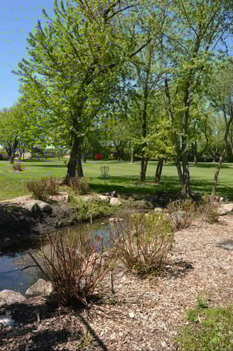 Green Hole #3