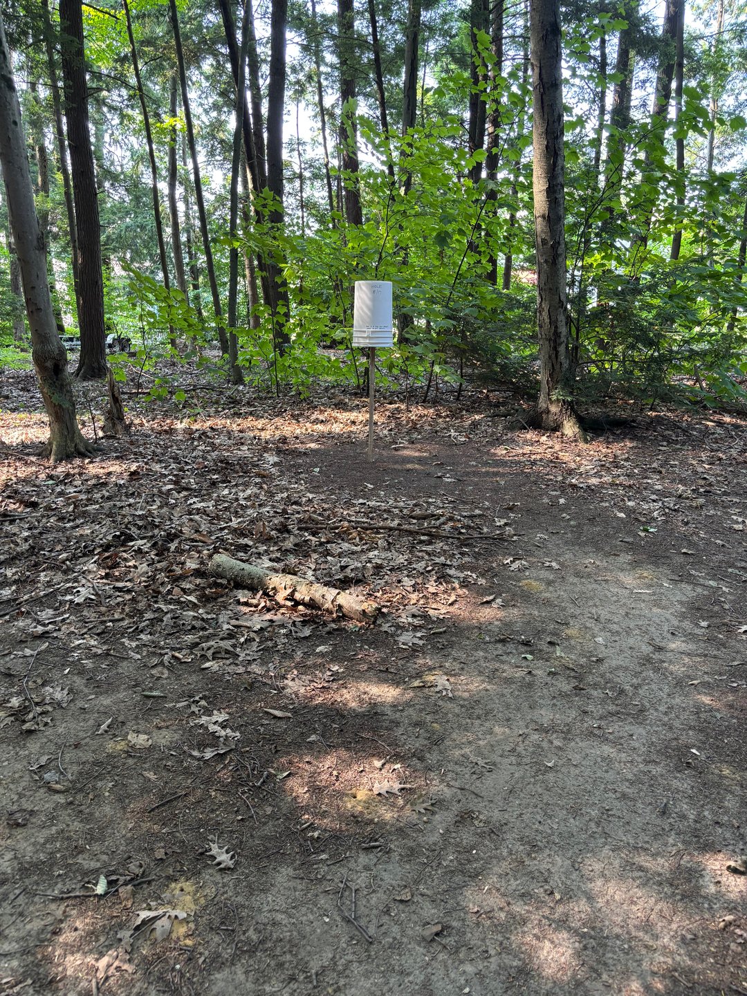 Hole 8/17 bucket