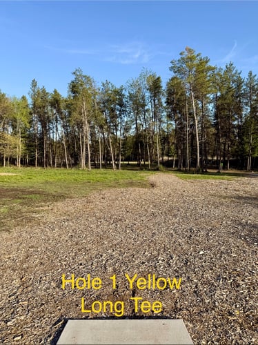 Yellow - Long Teepad