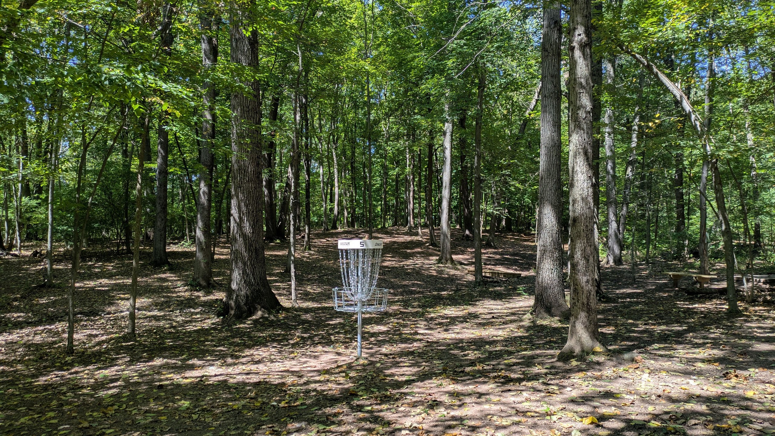 Hole 5 Green (A Basket)