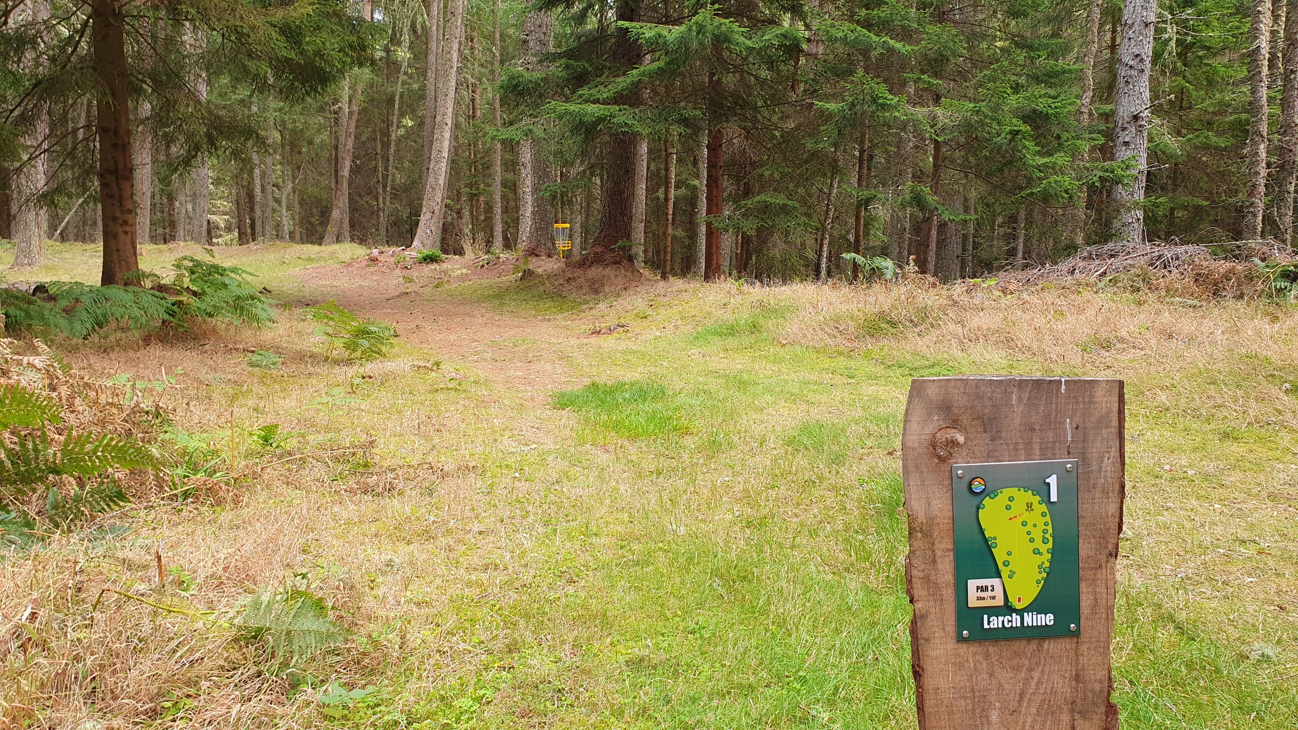 Hole #1 - Larch Nine