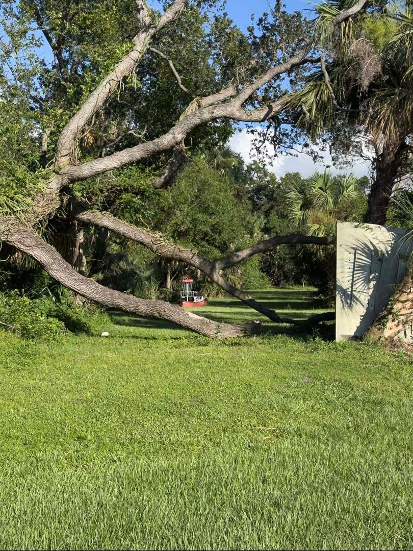 Red/short basket and approach 
