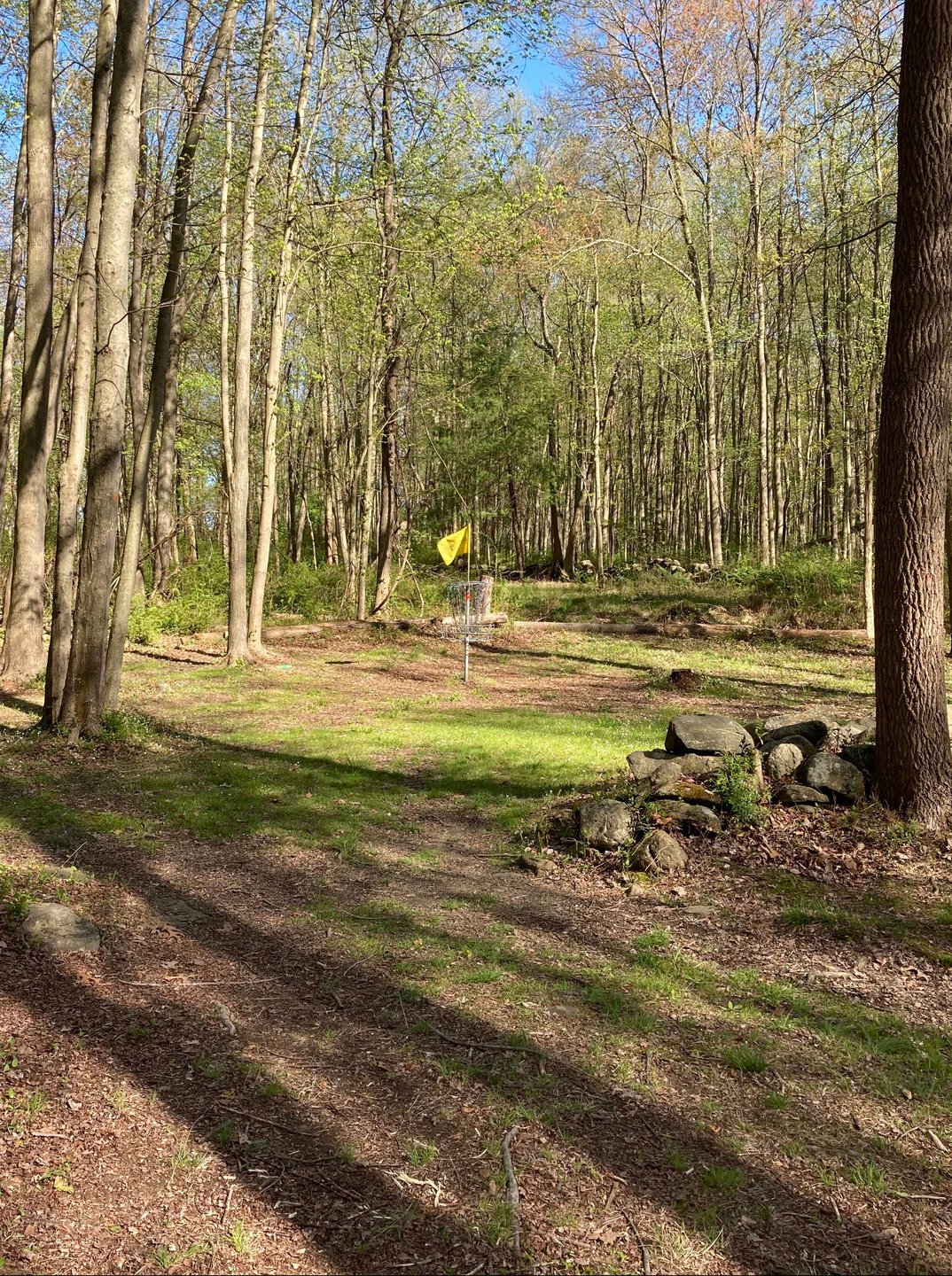 View from Hole 17 fairway toward basket