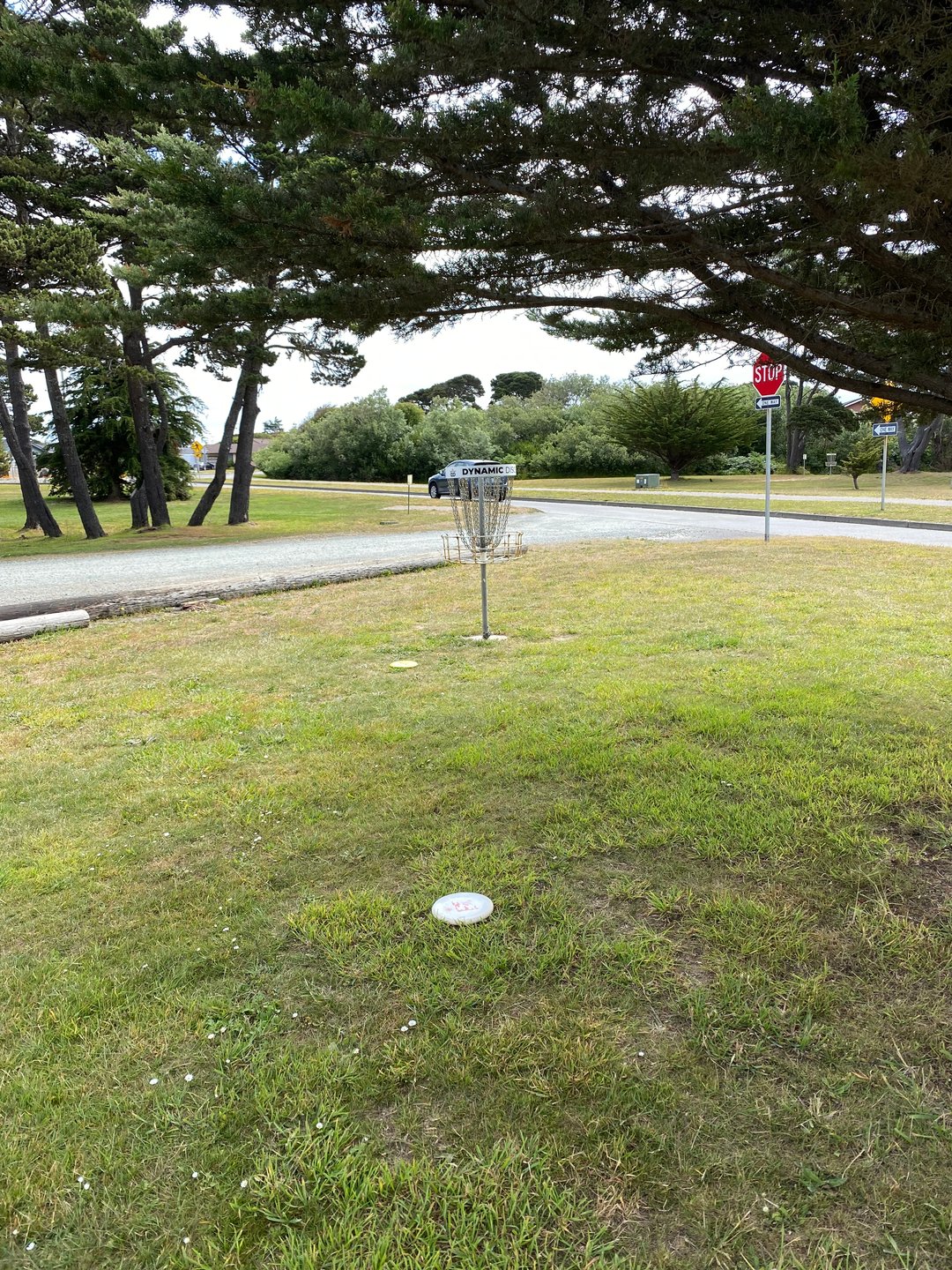 Shared basket for Holes 10A and 24A on the Bandon 30 layout.