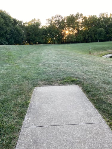Hole 2. Basket underneath the tree line. 