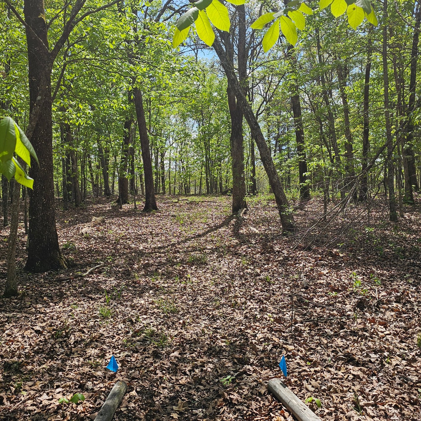 Hole 9 from the tee. 