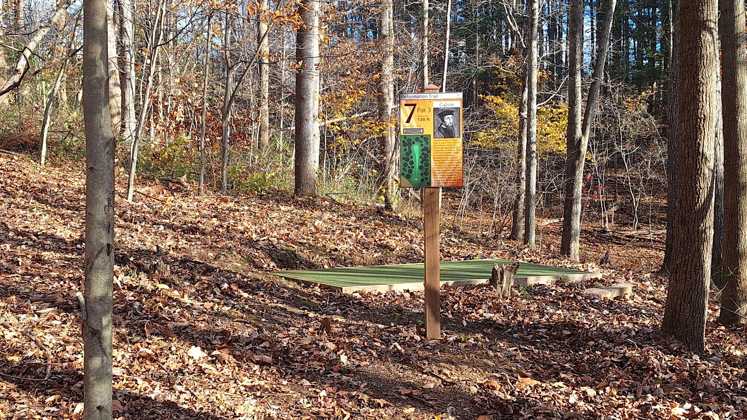Hole 7 Tee Pad