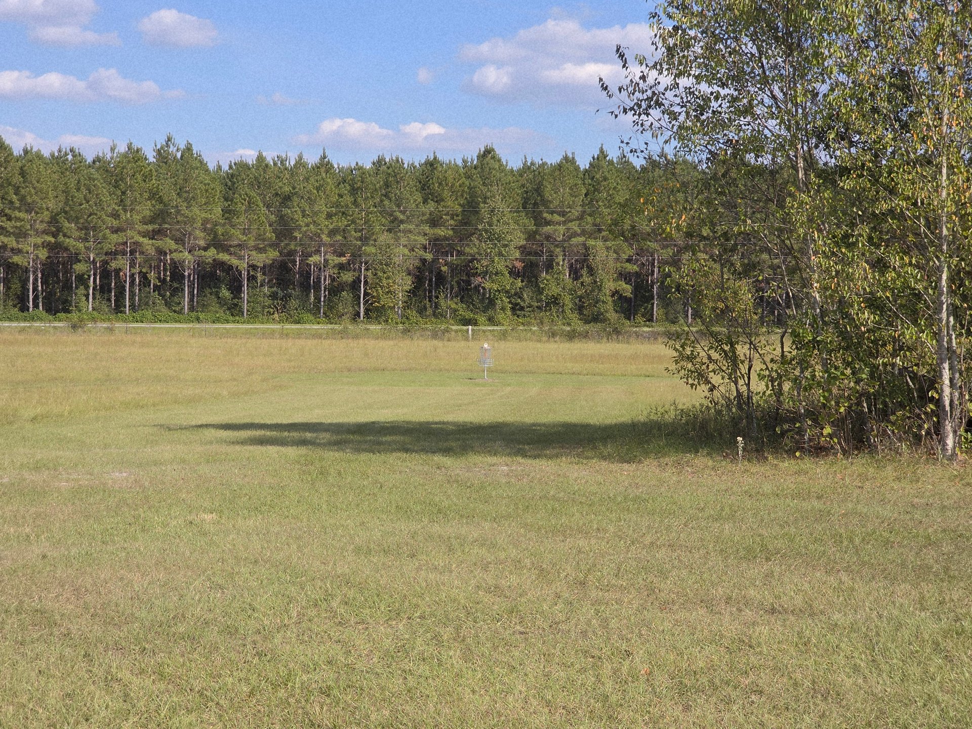The basket on hole 15 from the landing zone.