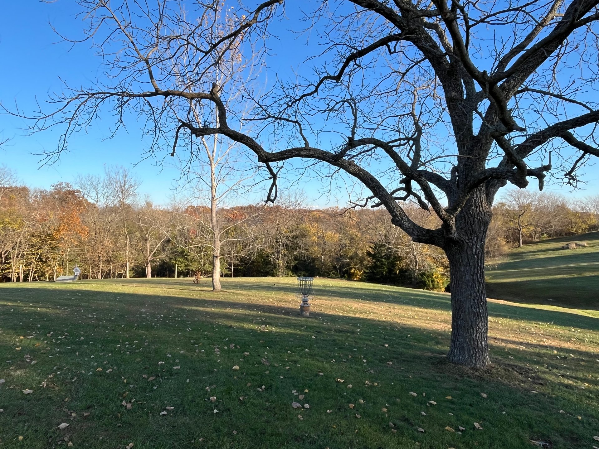 basket for hole #1 and #7