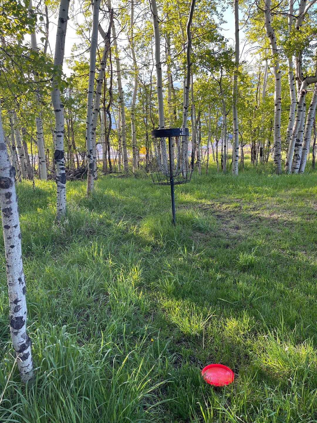 Hole 10 is very poplar