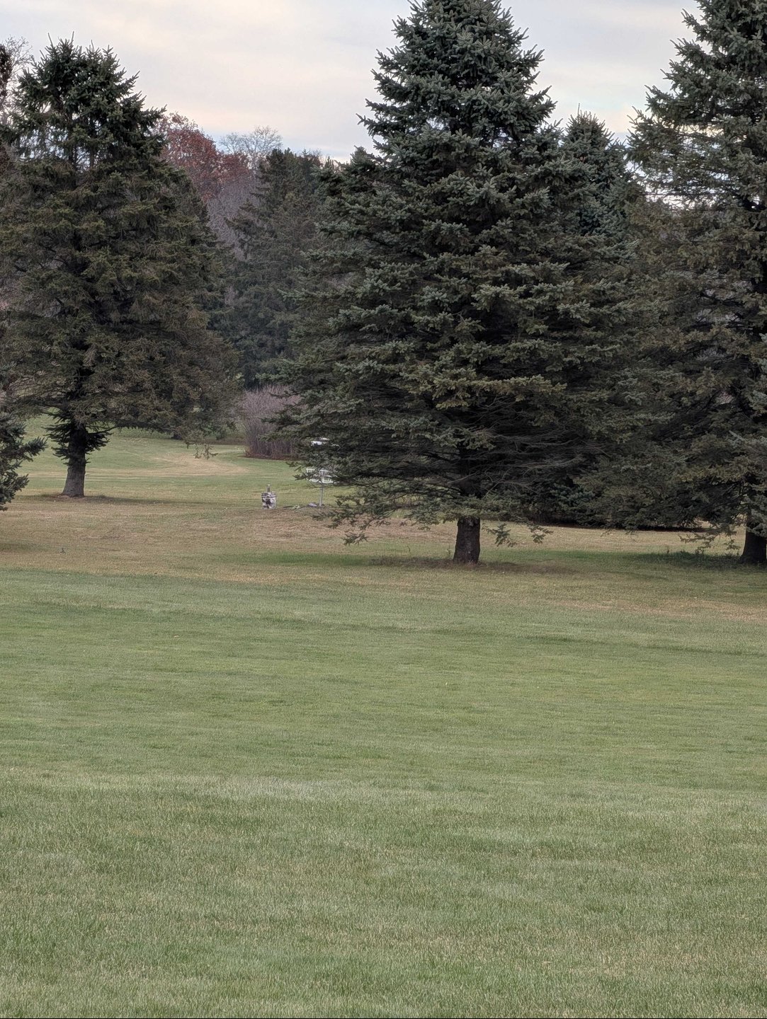 basket location zoomed in just from the left of the long/short tee