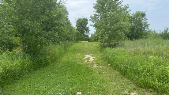 Hole 7 fairway. Caution, long rough on left side.