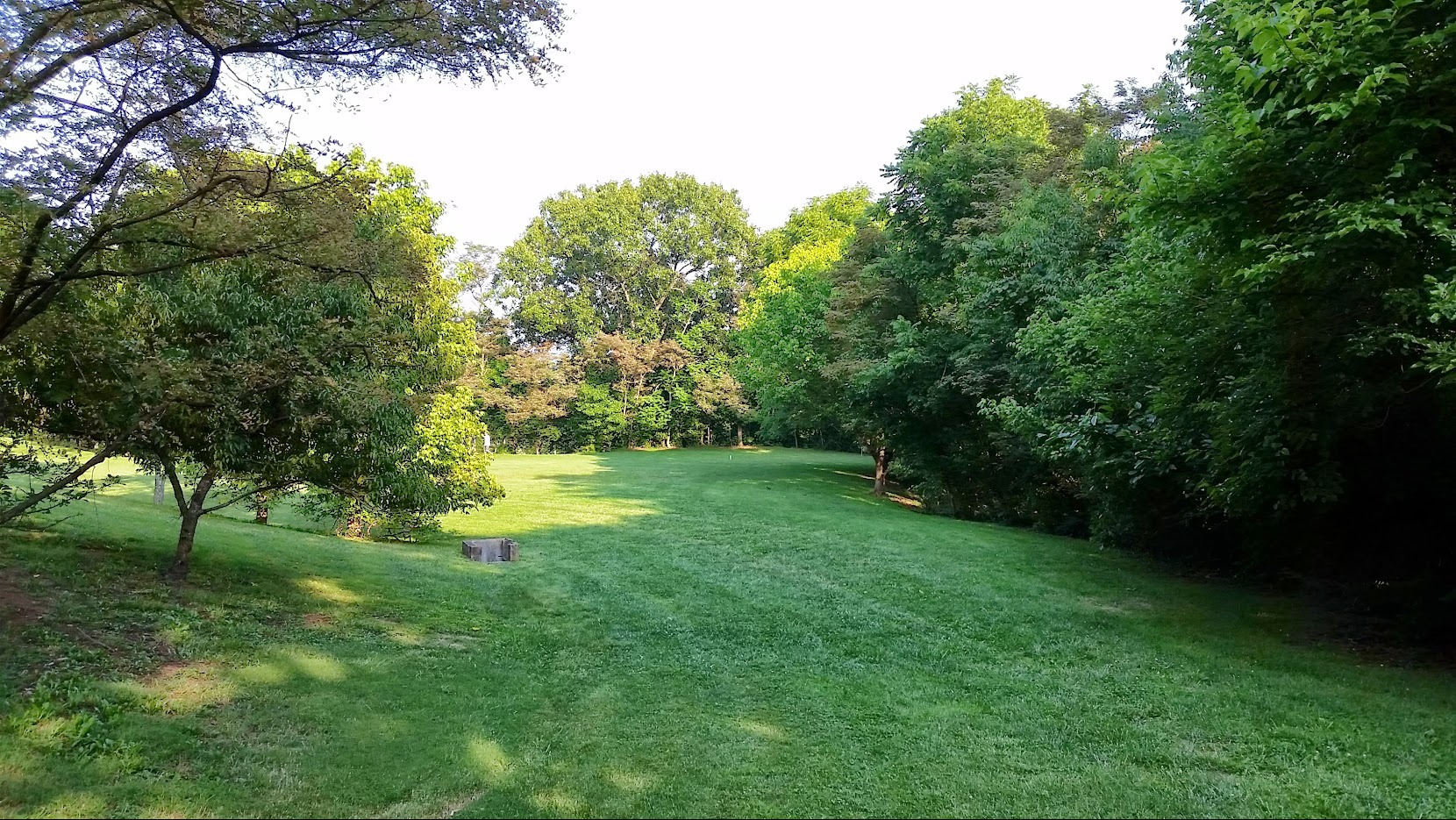 Short tee view of 8.  Basket in this image is to the right.  A short position is visible (white pipe) in the middle.  There is also another position in the far back left but visible to the right of the tree on the left of the frame.
