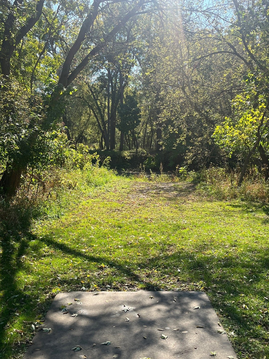 7 Long tee over the river