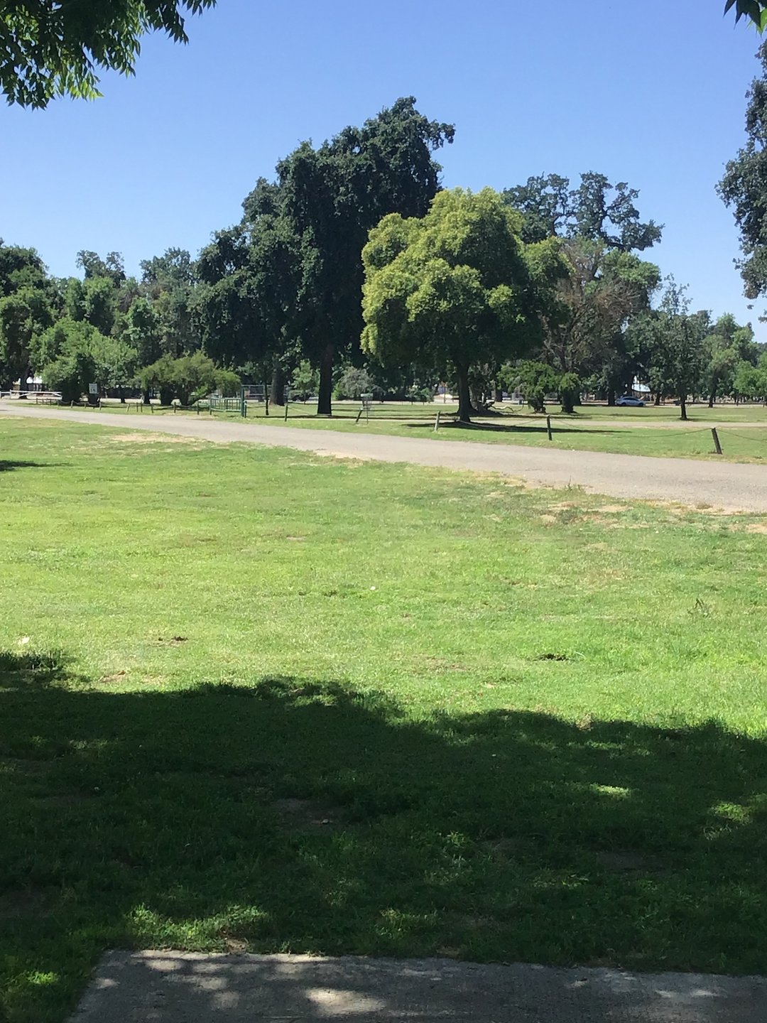 Hole 6 Long Pad