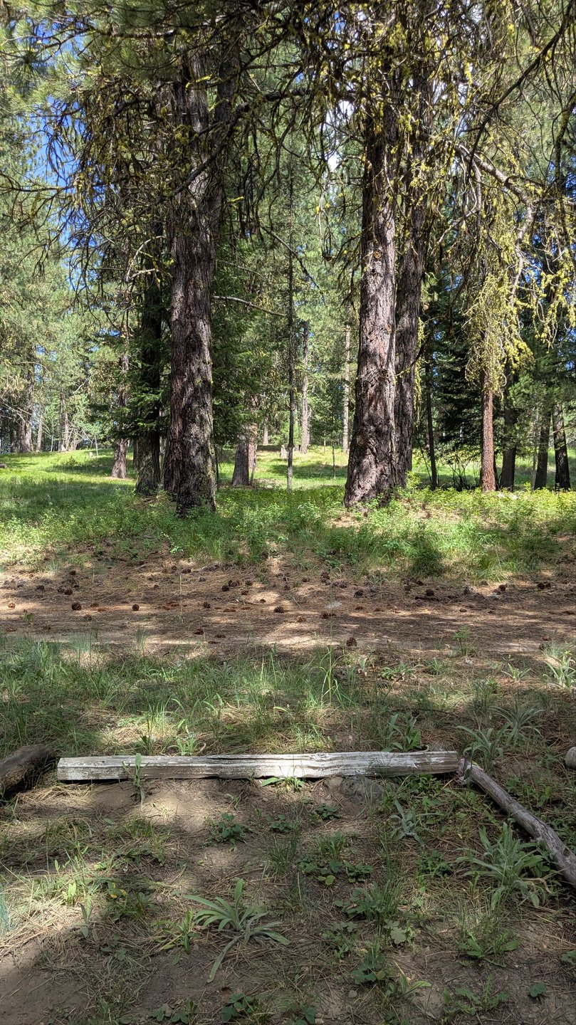 #18 - Tee Pad 