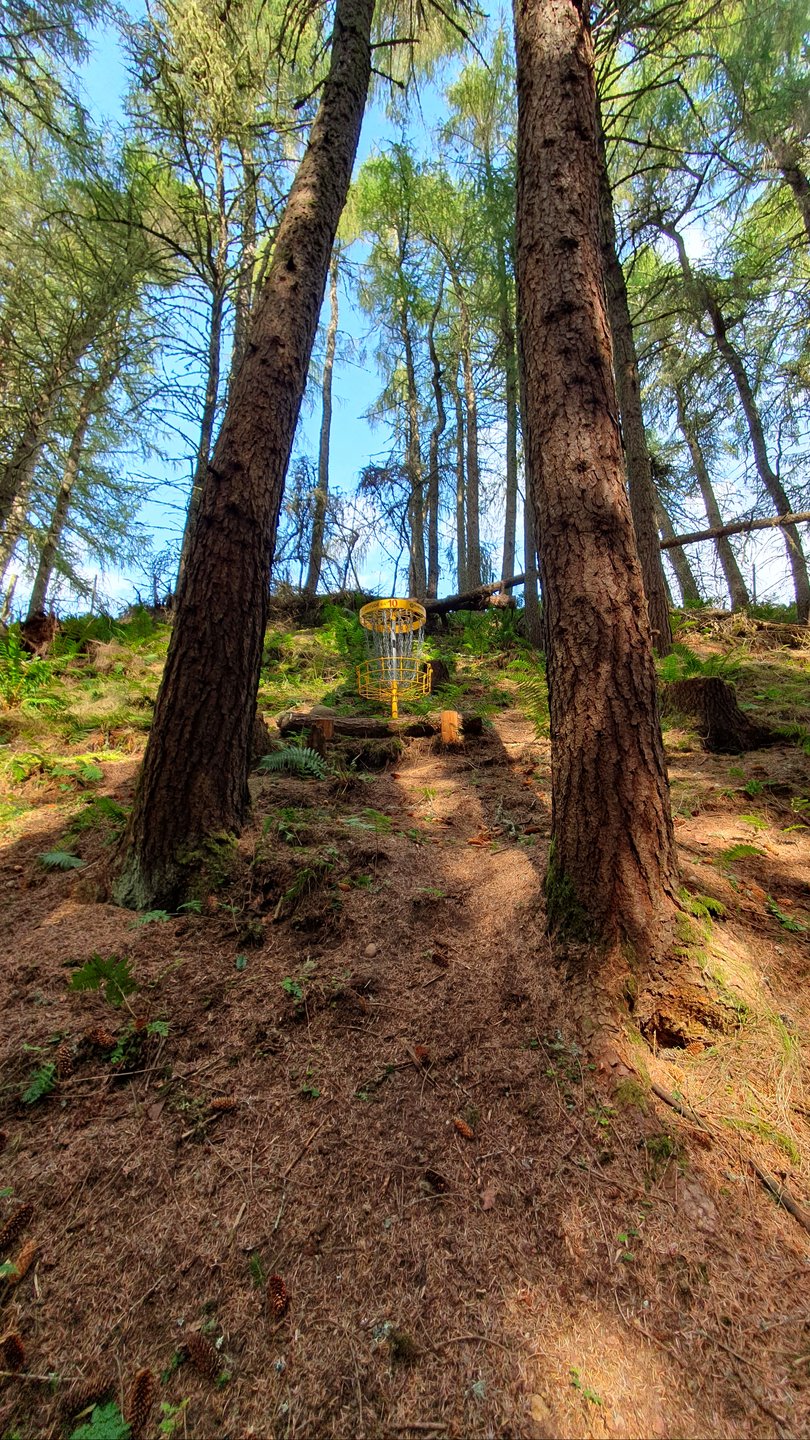 Hole #10 - Ace Outback