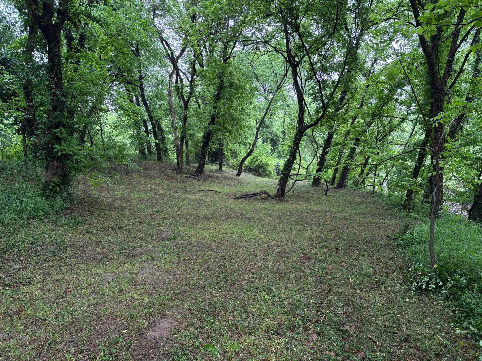 Hole 6's Green