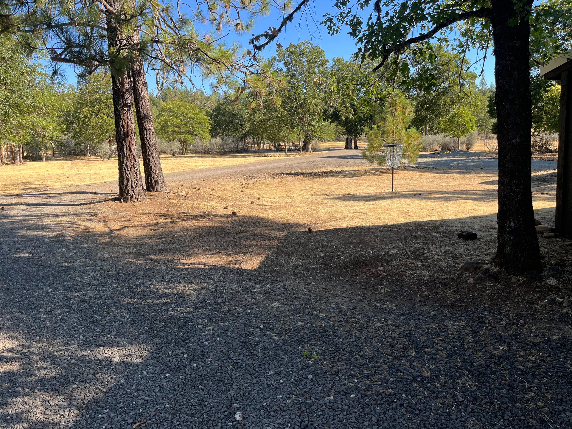 Basket location