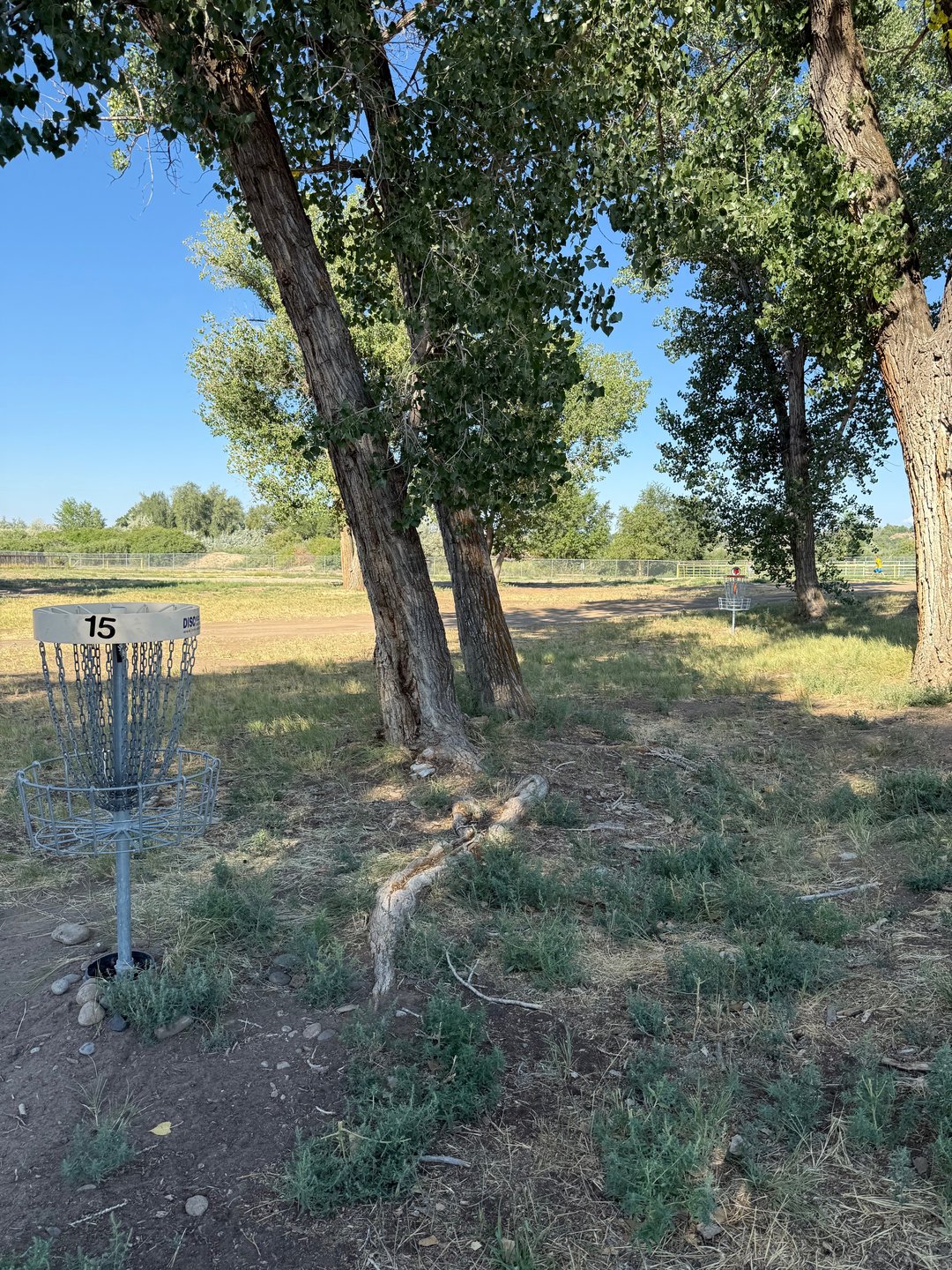 The short and long baskets of hole 15.