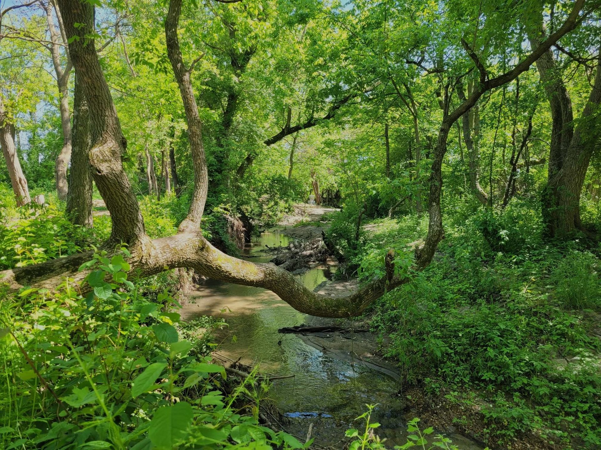 Porter Park