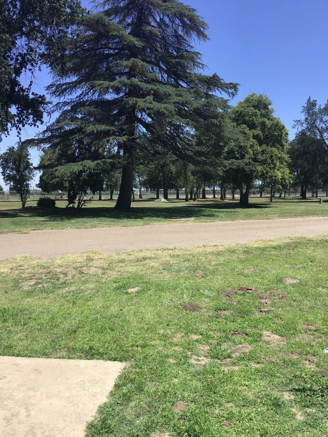 Hole 2