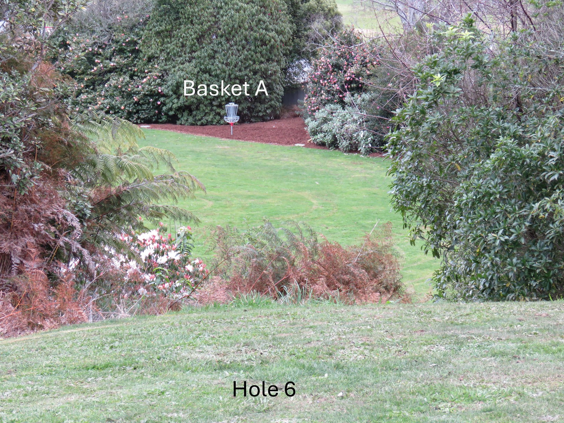 From basket C walk back direction narrow footbridge and then left up the steep hill to showgrounds fields. Tee from up top through bushy corridor
