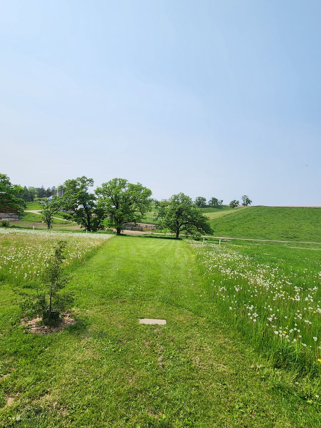 Hole 1
Mando left of large oak tree on the right. 
DZ is between the two large oak trees on top of the ridge.