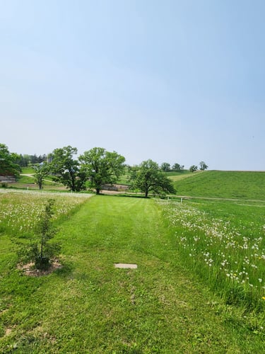 Hole 1
Mando left of large oak tree on the right. 
DZ is between the two large oak trees on top of the ridge.