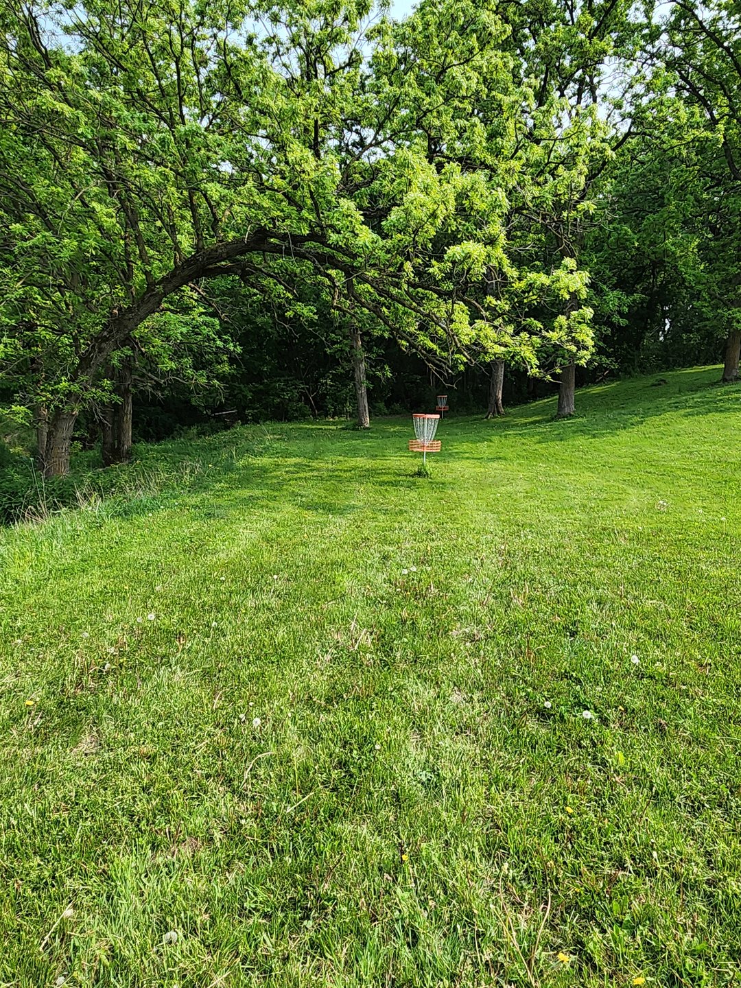 Hole 9 green.