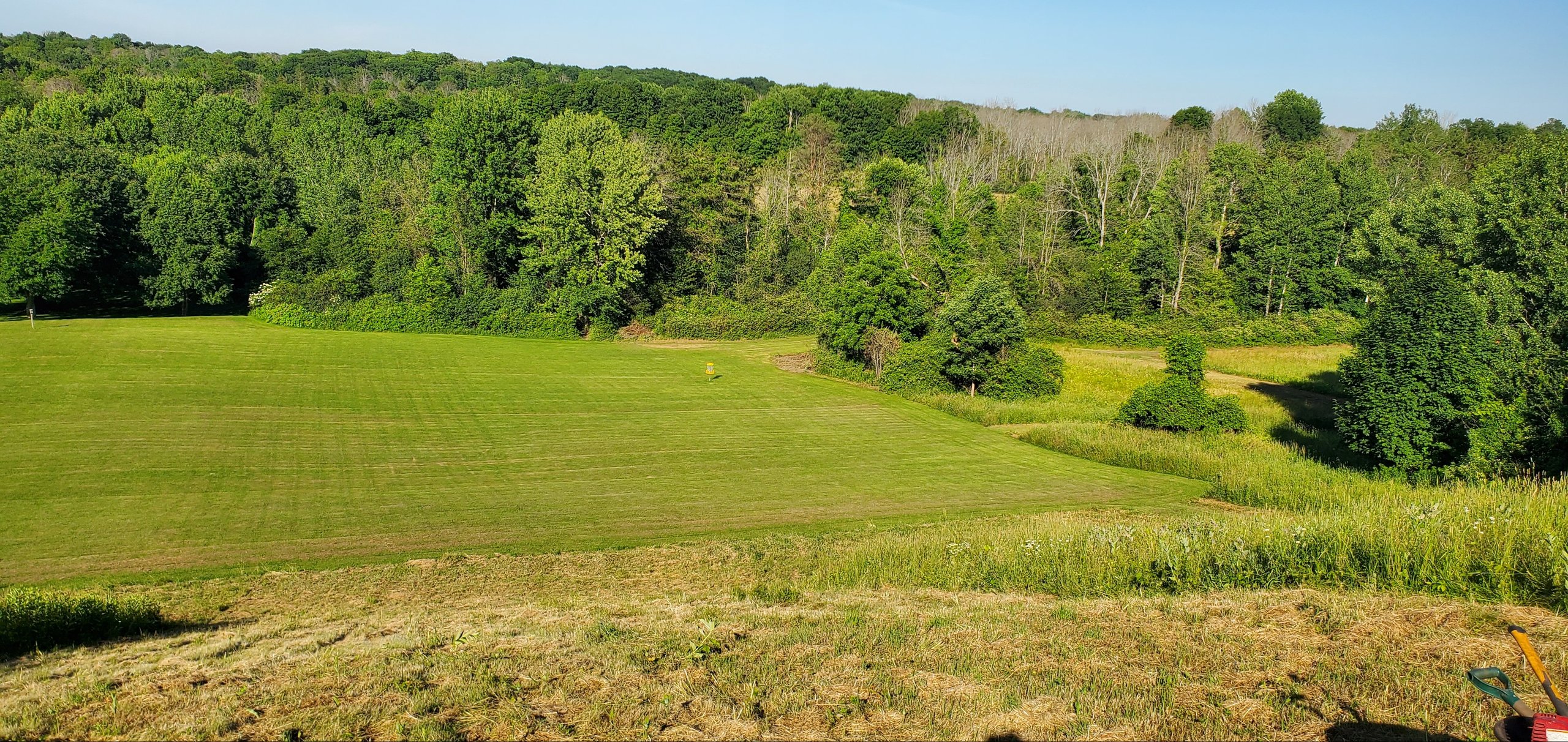 Fairway is mowed tee box to pad. Tall grass left and right. Hard to find discs. Not a long throw to the huge meadow. Fairway is about 40ft wide.