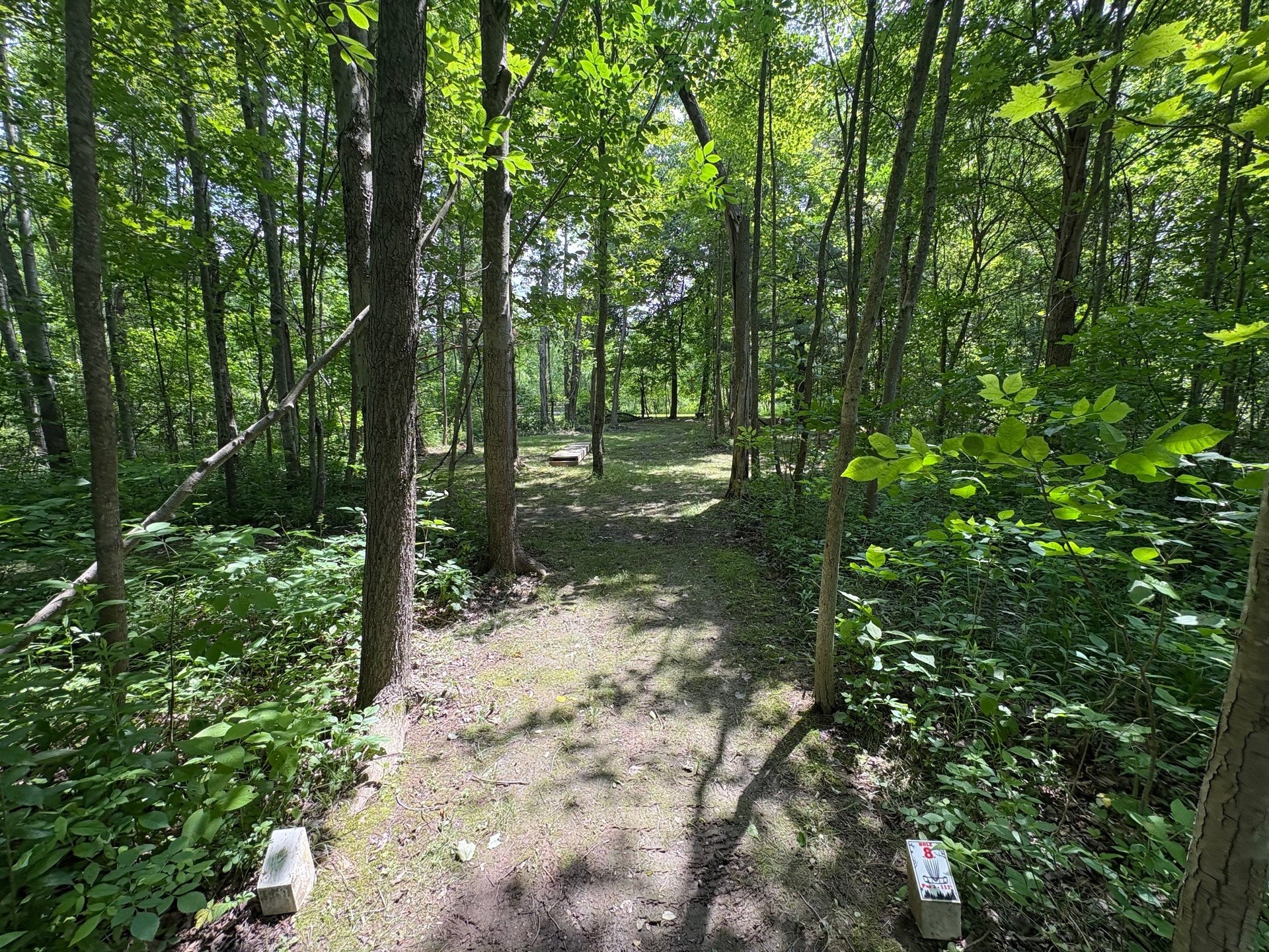 View from tee 8