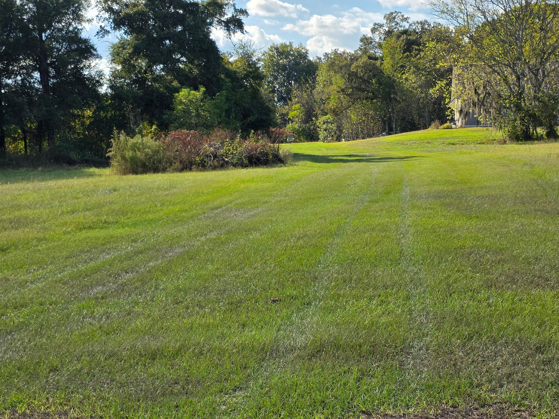 Hole 18's tee shot, with the basket around just to the left of the tree clump.