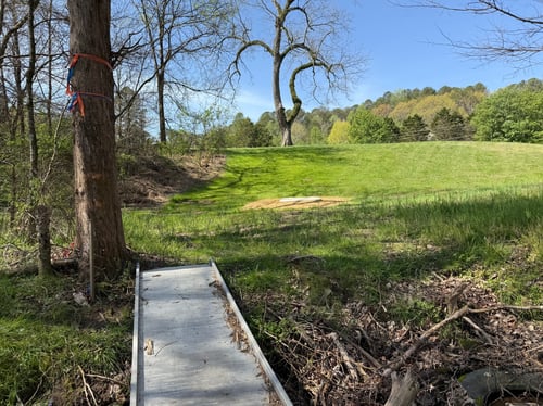 Looking back at Tee No. 5
