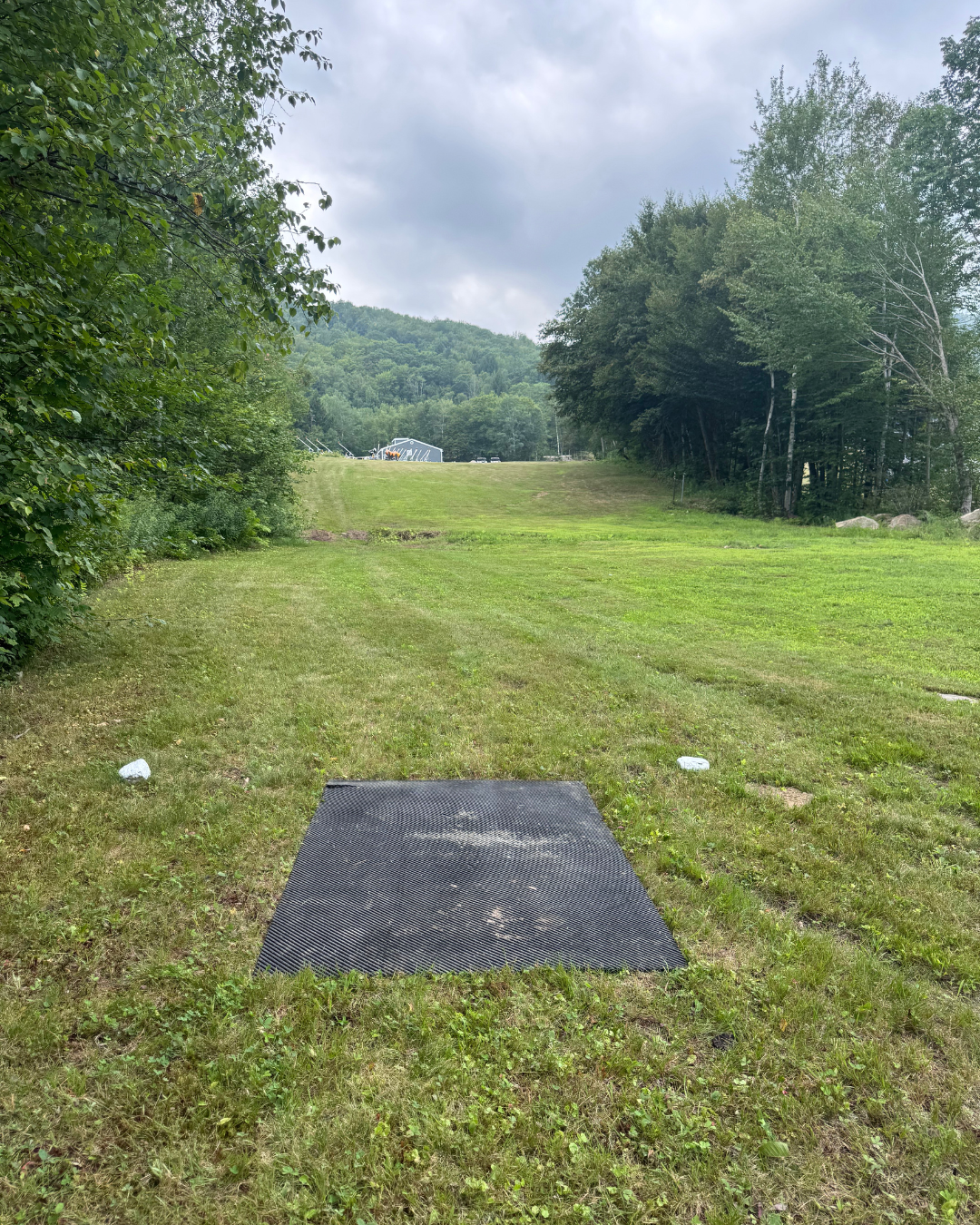 Hole 6 tee pad