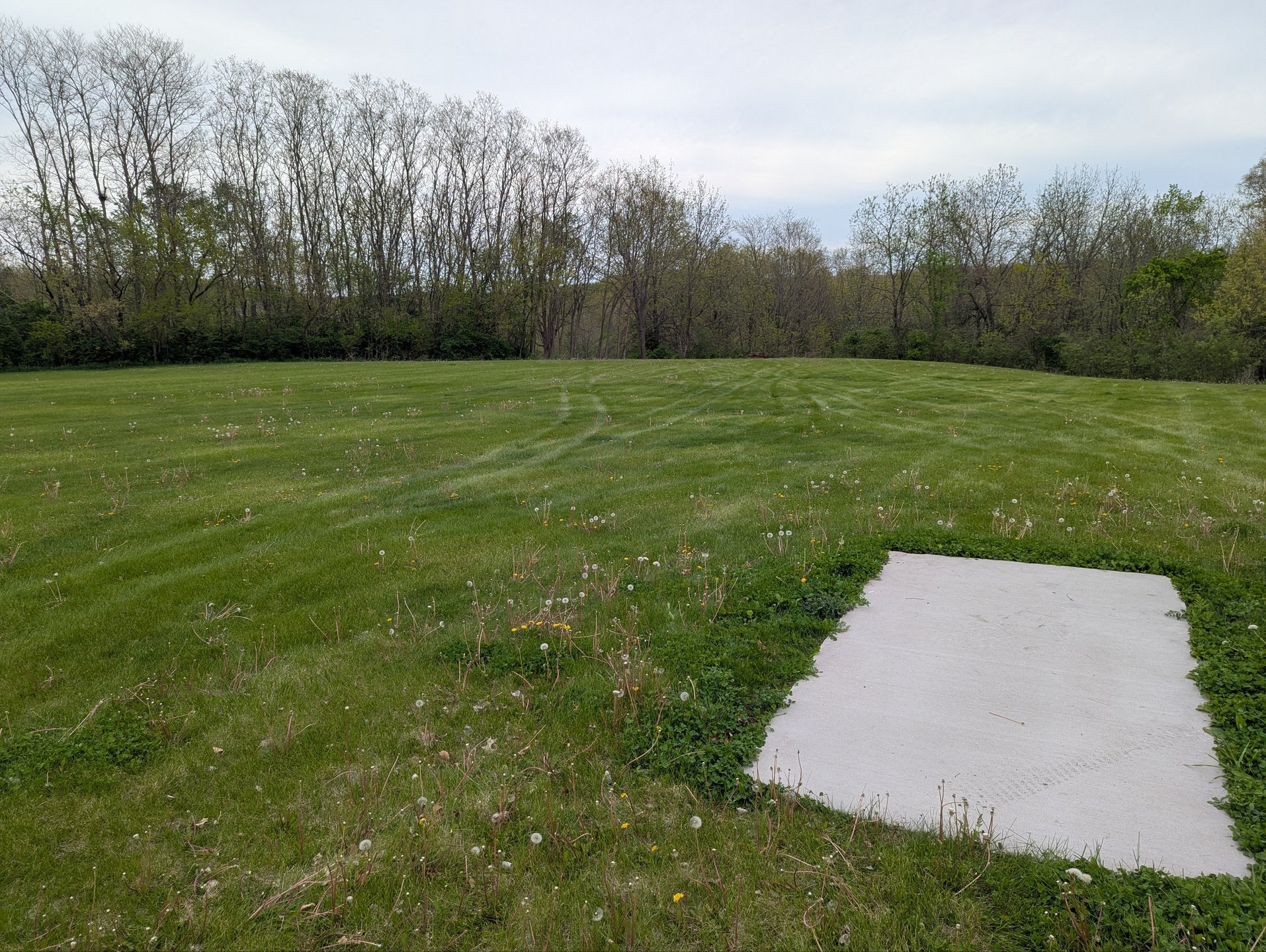 Hole 11 Short Tee