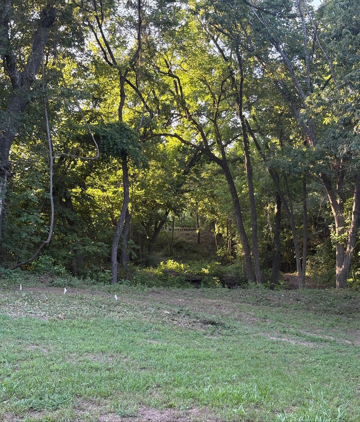 Looking back towards the elevated tee area from mid fairway before the dogleg.  Just make it over the creek already.  