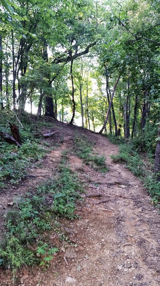 Short uphill drive.  The two skinny trees that frame the fairway can be tricky but if you miss those you're in good shape. 

Beware the road on the top left - that's OB.