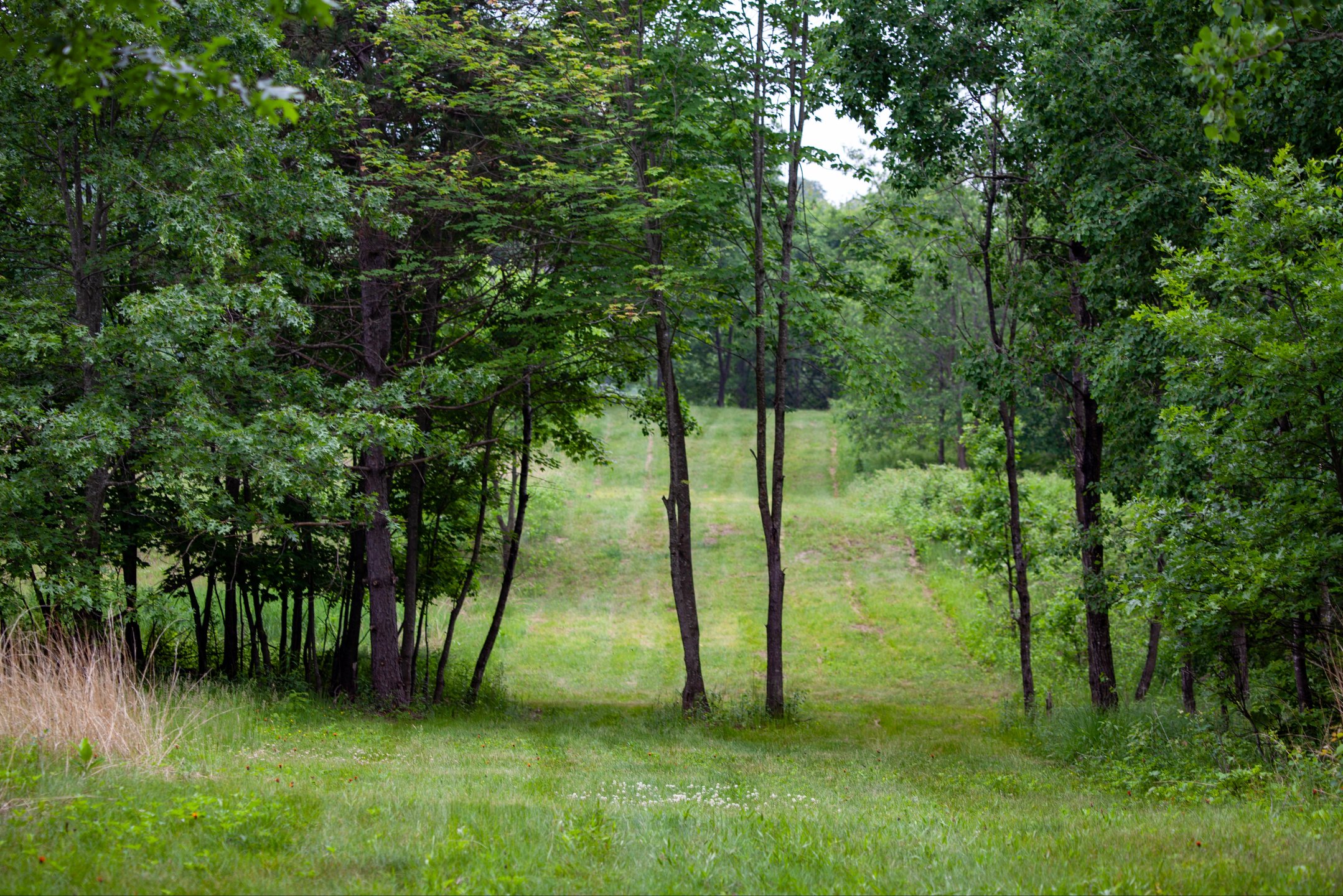 Tricky par 5