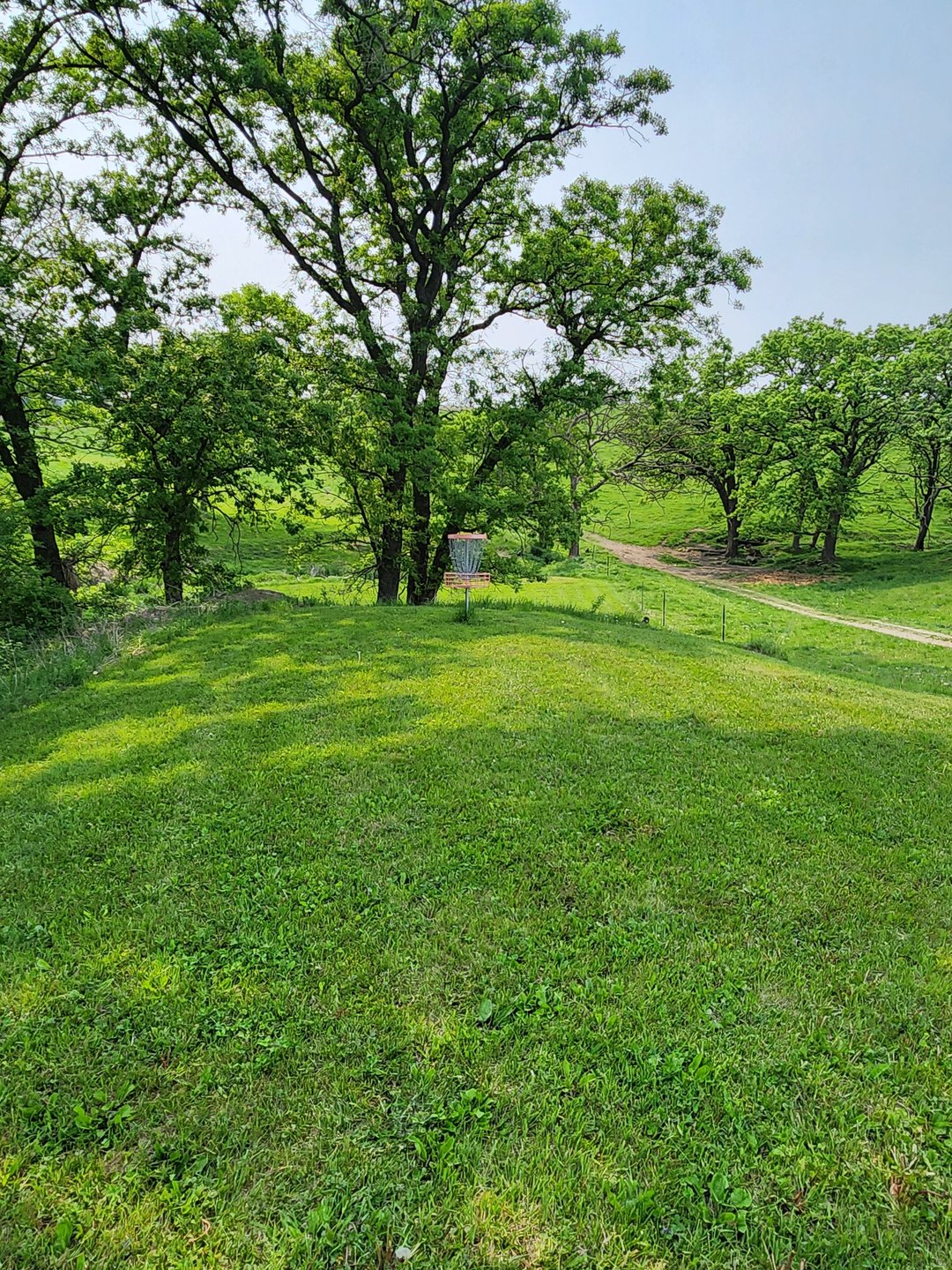 Hole 6 green