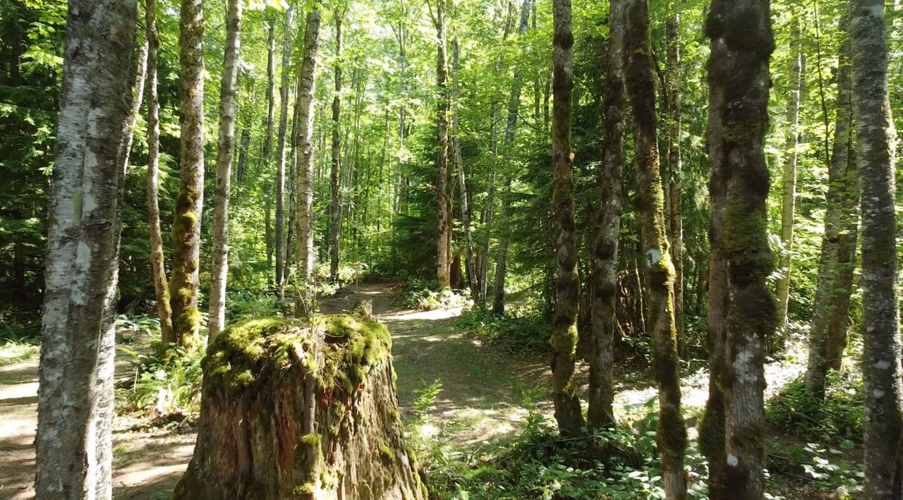 Hole 9 Pin long position