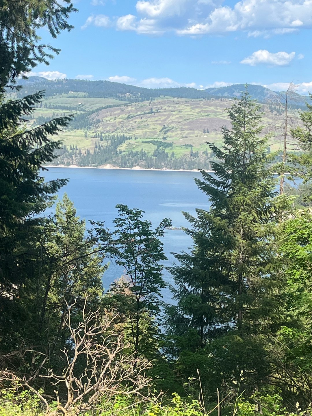 Lake Roosevelt view from hole 2/17