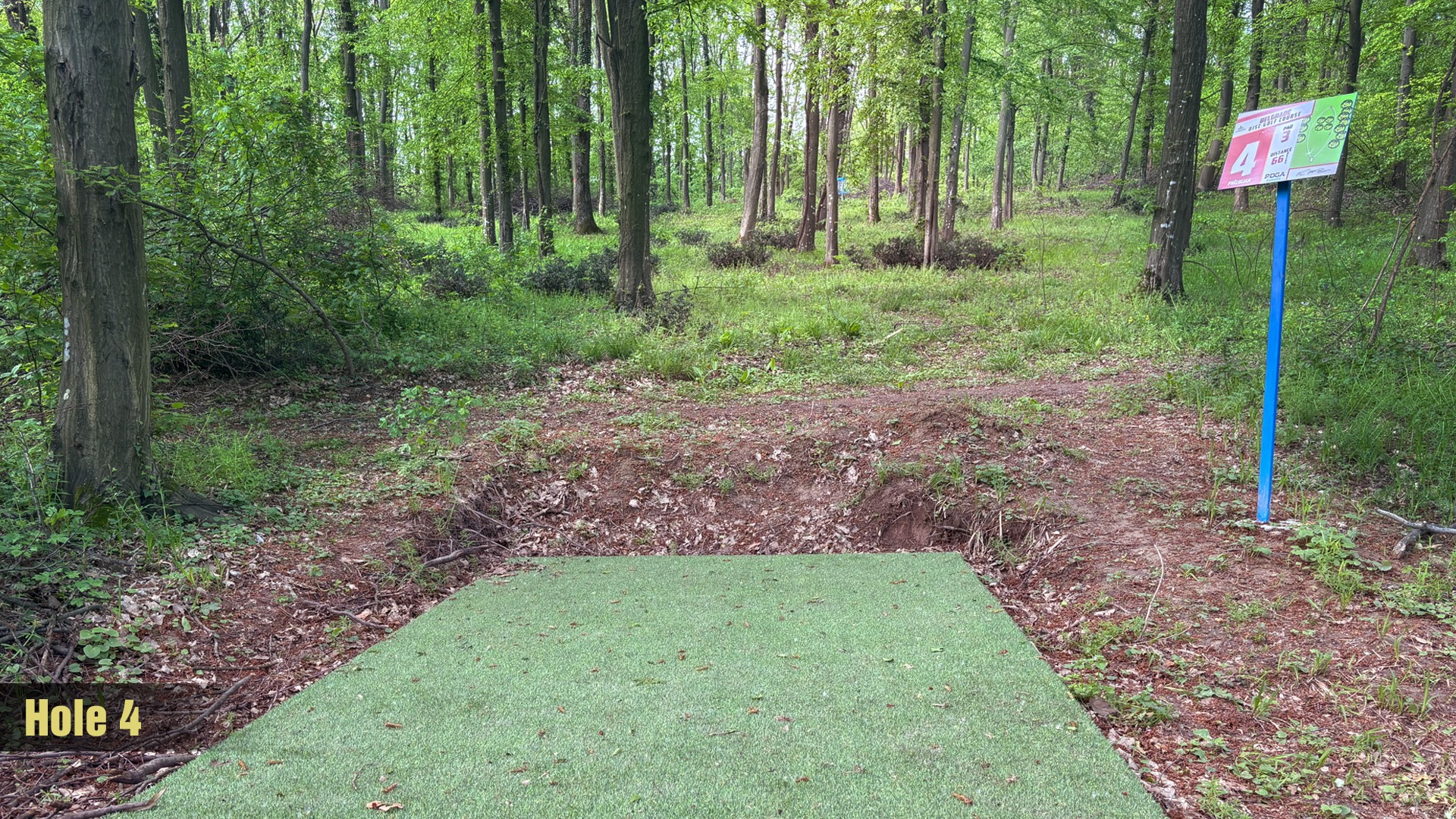 Tee 4
